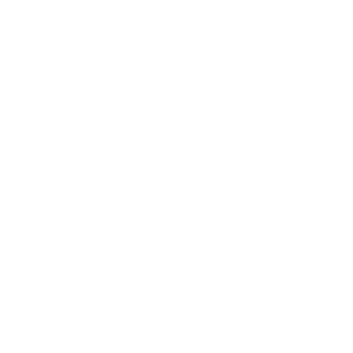 Social Capital Infographic